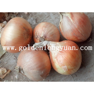 2016 New Season Fresh Yellow Onion